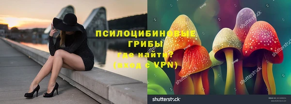 а пвп мука Аркадак